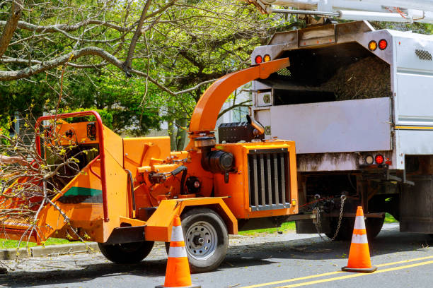 Best Tree Disease Treatment  in Mckinley, PA